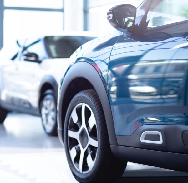 ballbet������(�й�)����ɭ����